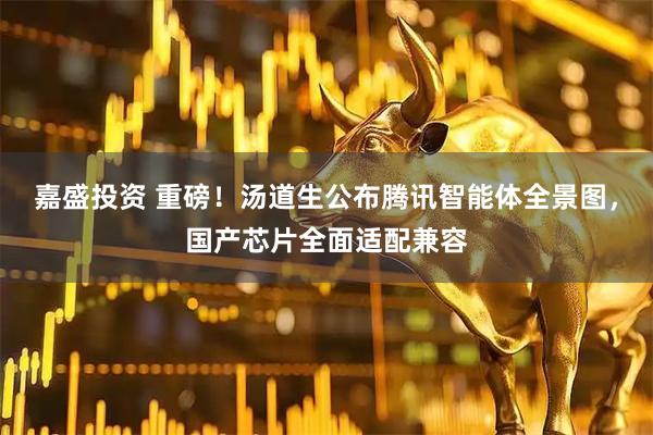 嘉盛投资 重磅！汤道生公布腾讯智能体全景图，国产芯片全面适配兼容