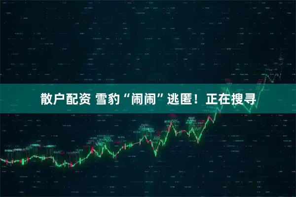 散户配资 雪豹“闹闹”逃匿！正在搜寻