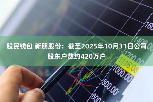 股民钱包 新朋股份：截至2025年10月31日公司股东户数约420万户
